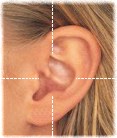 ear