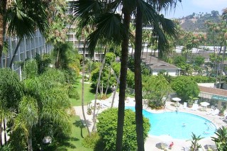 picture from hotel window showing palm trees and swimming pool