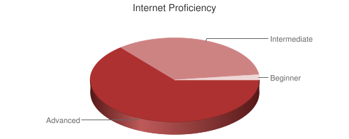 Pie Chart of Internet Proficiency
