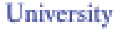 pixelated image that says 'University' but is difficult to read