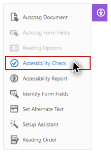 Screenshot of Accessibility Check highlighted and select on the Accessibility tools panel.